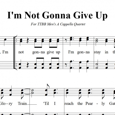 I&#039;m Not Gonna Give Up - MP3 Download